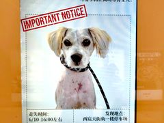 -首开·龙湖成都西宸天街