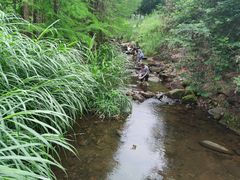 -马峦山郊野公园