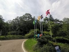 -南京老山国家森林公园