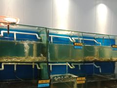 水产区-胖大嫂渔家排档·全海景餐厅(渔村店)