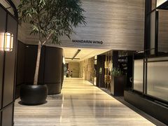 -新加坡乌节希尔顿酒店 (SG Clean)