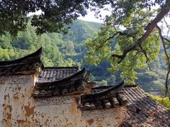 -杨家堂村