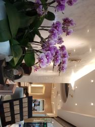 -Kraemer Paris  苏豪路易士·嘉玛发廊