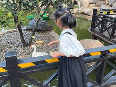 -西双版纳洲际度假酒店-海鲜傣味烧烤·侬香全日制餐厅
