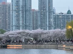 -西北湖绿化广场