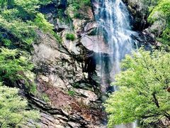 -少华山国家森林公园