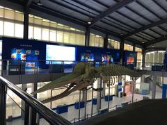 -上海海洋大学鱼文化博物馆(军工路校区)