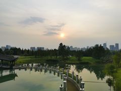 -眉山湿地公园(东坡区)
