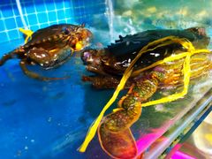 -锦里海景海鲜餐厅.三亚老字号(亚龙湾中心广场店)