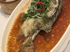 -新雅粤菜馆(南京东路店)