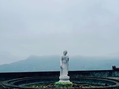 -青芝山风景名胜区