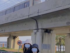 -海堤纪念公园