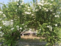 -龙寺生态园