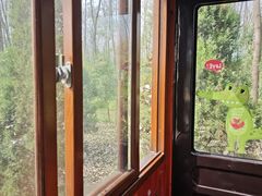 -合肥滨湖国家森林公园