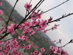 -重庆悦来温德姆酒店