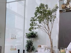 -Seesaw Coffee(深圳万象天地店)