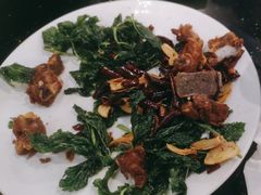 -草墩罗非鱼庄•野生菌•腊排骨(七星街上段店)