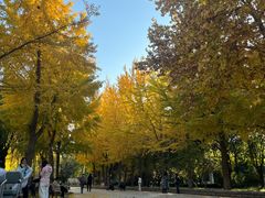 -西清公园