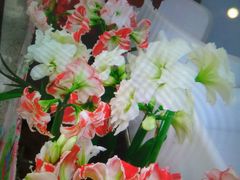-广州花之恋城堡酒店