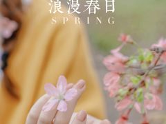 -天适樱花悠乐园