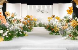 -明典婚礼策划·婚车租赁·婚纱摄影