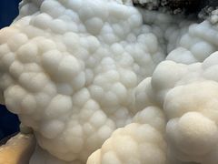 -贵州省地质博物馆