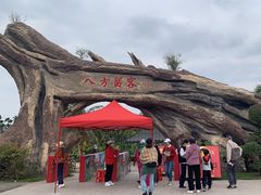 -蔡家宅