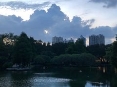 -晓港公园