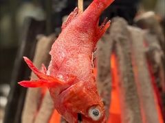 -炉胜·炉端烧·居酒屋