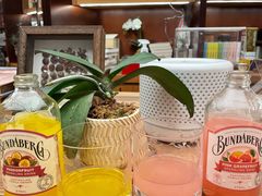 -二酉书店TOYOU BOOKS