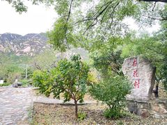 -北京凤凰岭