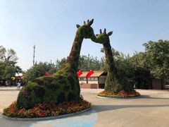 -西安秦岭野生动物园