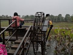 -武汉紫薇都市田园