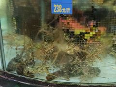 -东豪园林海鲜酒家(南港路辅路店)