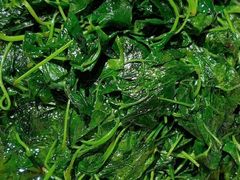 -老瑞福上海菜(人民广场店)