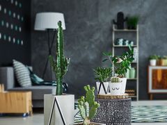 -Tiffany & Co.蒂芙尼
(广州太古汇店)