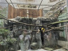 -成都动物园
