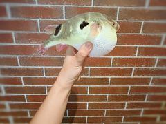 -永安鱼庄·镇江菜(东吴路店)