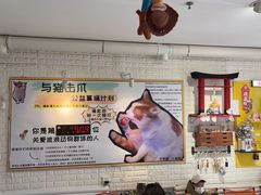 -平行世界·猫咖(首经贸店)