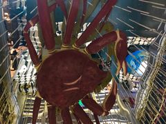 -蟹之国·精品蟹料理(极地店)