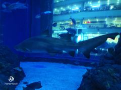 -成都浩海立方海洋公园