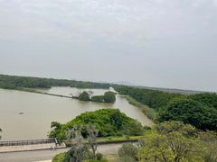 -大湾区中央湿地公园
