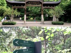 -杭州半山国家森林公园