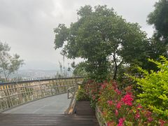 -福道