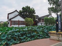 -鲁镇