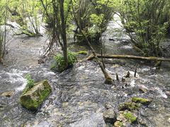 -九寨沟-树正沟