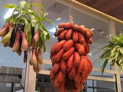 -第六季自助餐厅(甜水园店)