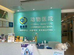 -美迦爱-牙专科·兔科·骨科诊疗中心(北苑店)