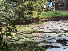 -海南热带野生动植物园