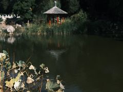 -八大处公园